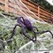 2 Pieces Giant Spiders Halloween Decorations Outdoor Indoor 6.5Ft Extra Large Poseable Fuzzy Black Spider Scray Party Favor Haunt House Home Garden Web Decor
